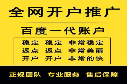 竞价SEM托管案例：精准营销的利器